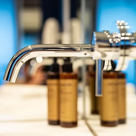 Hotel Grefis Muenchen-graefelfing 4*